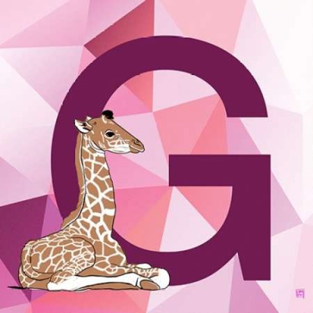 G Poster Print by Aubree Perrenoud