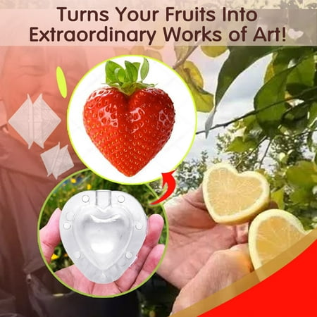 Ozmmyan Kitchen & Dining Magic Heart-shaped Strawberry Fruit Shaping Growth Molds Kitchen Gift on Clearance
Ozmmyan Kitchen & Dining Magic Heart-shaped Strawberry Fruit Shaping Growth Molds Kitchen Gift on Clearance