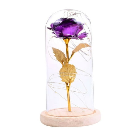 Rose Led Light Led Night Light Rose Glass Cover Decoration Lights Holiday Gifts No Battery Included(Purple)
Rose Led Light Led Night Light Rose Glass Cover Decoration Lights Holiday Gifts No Battery Included(Purple)