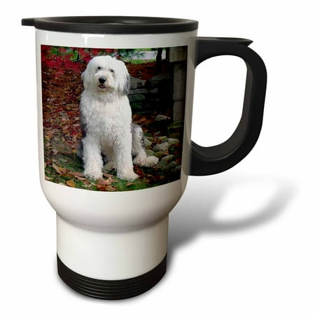 Old English Sheepdog 14oz Stainless Steel Travel Mug tm-1070-1