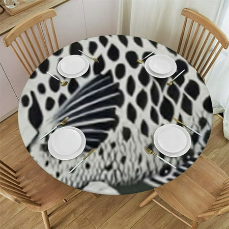 Round Tablecloth Picnic Table Cloth Round Fitted Tablecloth with Oil Proof Table Cover
Round Tablecloth Picnic Table Cloth Round Fitted Tablecloth with Oil Proof Table Cover