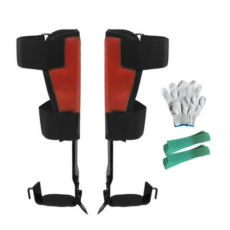 Catinbow Tree Climbing Spikes Set | Big Turn Tree-Climbing Shoes | Safe and Durable Tree-Climbing Special Tools For Indoor and Outdoor Sports
Catinbow Tree Climbing Spikes Set | Big Turn Tree-Climbing Shoes | Safe and Durable Tree-Climbing Special Tools For Indoor and Outdoor Sports