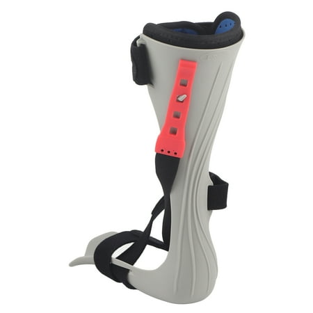 Ankle Support Fixed Strap Design Stable Lightweight Plantar Fasciitis Relief For Weak Foot Muscles Orthopedics Right Foot L
Ankle Support Fixed Strap Design Stable Lightweight Plantar Fasciitis Relief For Weak Foot Muscles Orthopedics Right Foot L