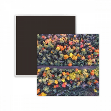 Colorful Forestry Science Nature Scenery Square Ceracs Fridge Magnet Keepsake Memento
Colorful Forestry Science Nature Scenery Square Ceracs Fridge Magnet Keepsake Memento