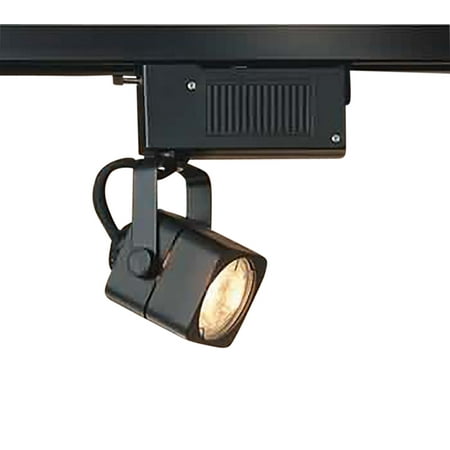 Track Lighting Black 4 Foot Track w/2 Light Set | Renovator s Supply