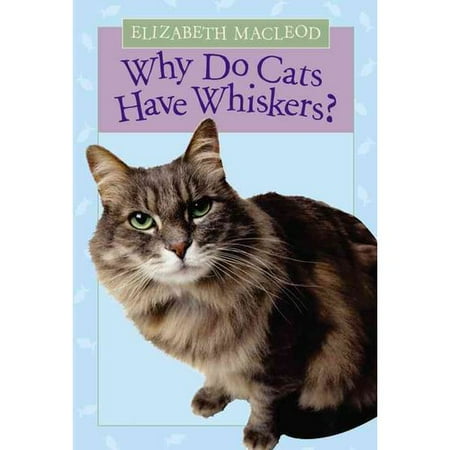 whiskers cats why