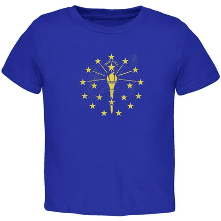 Born and Raised Indiana State Flag Toddler T Shirt Royal 2T