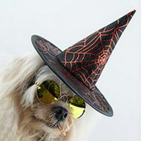 Dog Outfits for Medium Dogs Boys Birthday Party Hats Dog Calming Hat Dog Pet Hat Underwire Hat New Holiday Party Decoration Accessory Funny Print
Dog Outfits for Medium Dogs Boys Birthday Party Hats Dog Calming Hat Dog Pet Hat Underwire Hat New Holiday Party Decoration Accessory Funny Print