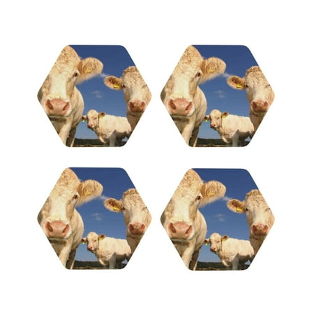 Coasters Set of 4 - Cows Cattles Drink Coasters for Tabletop Protection Leather Coasters for Living Room Decor and Housewarming Gift Hexagon
Coasters Set of 4 - Cows Cattles Drink Coasters for Tabletop Protection Leather Coasters for Living Room Decor and Housewarming Gift Hexagon