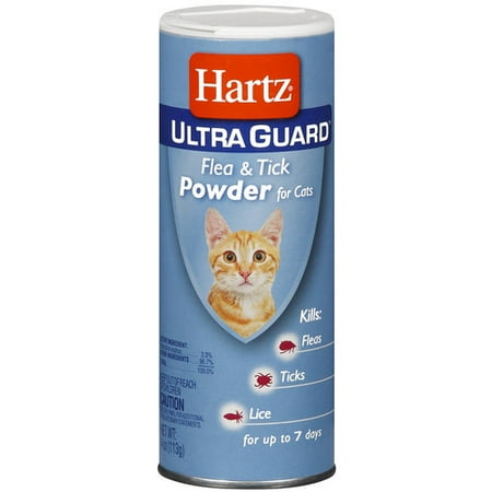 Flea Powder For Cats Walmart Flea Powder For Cats Walmart