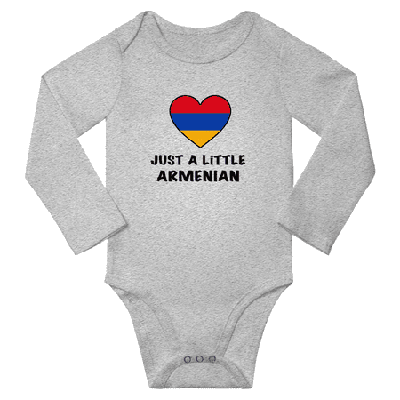 Just a Little Armenian Baby Long Sleeve Bodysuit (Gray 6 Months)