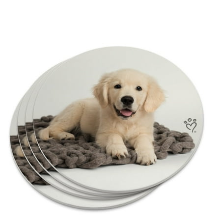 Golden Retriever Puppy Dog Knotty Blanket Novelty Coaster Set