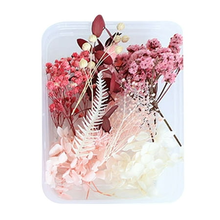 Yedhsi Home Decor Natural Dried Flowers Dried Flowers Set DIY Pressed-Flowers Flowers Dried For Scrapbooking DIY Candle Jewellery Pendants Crafts
Yedhsi Home Decor Natural Dried Flowers Dried Flowers Set DIY Pressed-Flowers Flowers Dried For Scrapbooking DIY Candle Jewellery Pendants Crafts