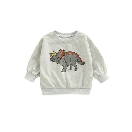 Toddler Baby Boys Girls Long Sleeve Sweatshirt Dinosaur Crew Neck Pullover T Shirts Fall Winter Clothes
Toddler Baby Boys Girls Long Sleeve Sweatshirt Dinosaur Crew Neck Pullover T Shirts Fall Winter Clothes