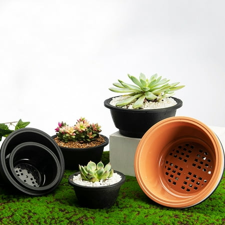 Visland 2Pcs Succulent Pot Shatterproof Breathable Plastic Hollowed Design Bonsai Pot for Home
Visland 2Pcs Succulent Pot Shatterproof Breathable Plastic Hollowed Design Bonsai Pot for Home