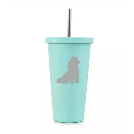 16 oz Stainless Steel Double Wall Insulated Tumbler Pool Beach Cup Travel Mug With Straw Miniature Poodle Toy Poodle (Teal)
16 oz Stainless Steel Double Wall Insulated Tumbler Pool Beach Cup Travel Mug With Straw Miniature Poodle Toy Poodle (Teal)