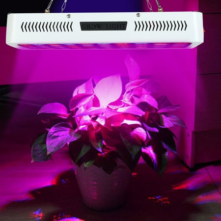 Aluminum Material Plant Grow Light Plants Grow Lamp Plant Grow Light Lamp Family Balcony Seedling/Breeding For Greenhouse US
Aluminum Material Plant Grow Light Plants Grow Lamp Plant Grow Light Lamp Family Balcony Seedling/Breeding For Greenhouse US
