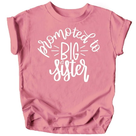Olive Loves Apple Promoted to Big Sister Colorful Announcement T-Shirt for Baby and Toddler Girls Sibling Outfits Mauve Shirt 12 Months
Olive Loves Apple Promoted to Big Sister Colorful Announcement T-Shirt for Baby and Toddler Girls Sibling Outfits Mauve Shirt 12 Months