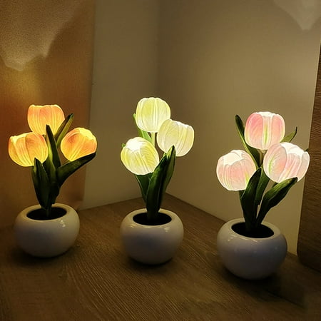 LED Lamp - Desk Lamp Flower Night Light with Vase Table Lamp Ornaments Housewarming Gift
LED Lamp - Desk Lamp Flower Night Light with Vase Table Lamp Ornaments Housewarming Gift