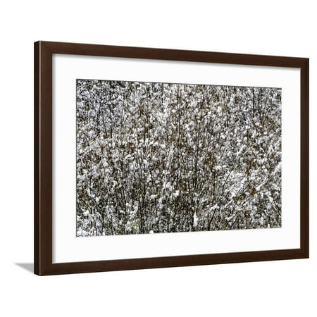 skagit Valley Framed Print Wall Art By Art Wolfe