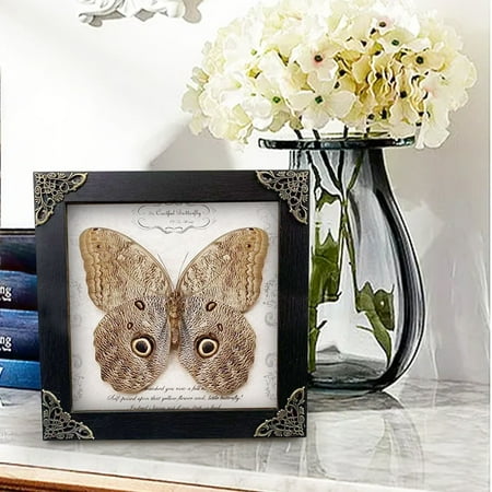 Christmas Clearance Desktop Ornament Wall-mounted animal specimens wooden transparent butterfly picture frames household tabletop decorations decorative picture frames by Wuxinga
Christmas Clearance Desktop Ornament Wall-mounted animal specimens wooden transparent butterfly picture frames household tabletop decorations decorative picture frames by Wuxinga