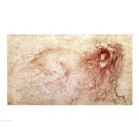 Sketch of a roaring lion Rolled Canvas Art - Leonardo Da Vinci (8 x 10)