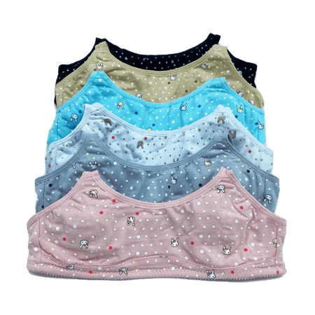 6 Pieces Wire Free No Padding Teenager Girl Cotton Junior Training Bra A Cup 34A (58009)
6 Pieces Wire Free No Padding Teenager Girl Cotton Junior Training Bra A Cup 34A (58009)