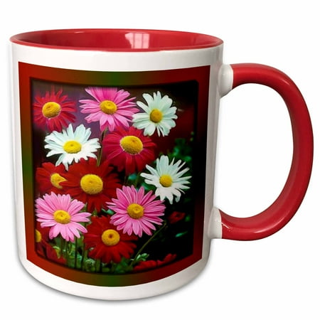 3dRose Painted Gerber Daisies - Two Tone Red Mug 11-ounce