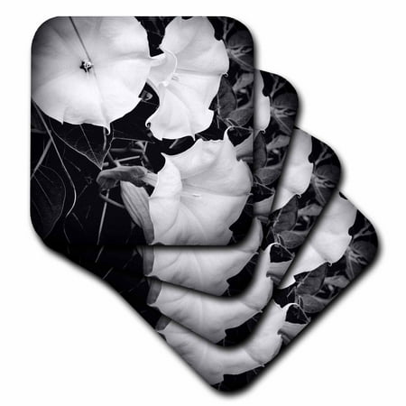 3dRose Three Moonflowers freshly bloomed in a Michigan garden Soft Coasters set of 4
3dRose Three Moonflowers freshly bloomed in a Michigan garden Soft Coasters set of 4