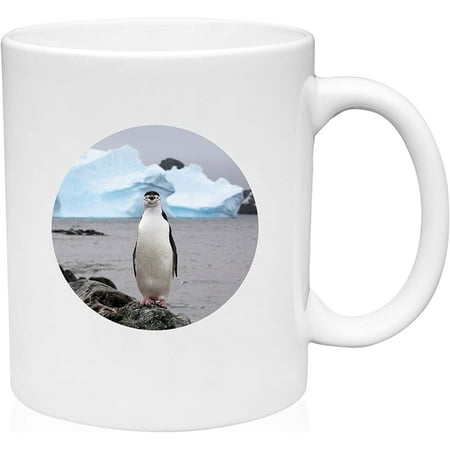 Coffee Mug Penguin on Rocky Island Pub White Coffee Mug Funny Gifts Cup