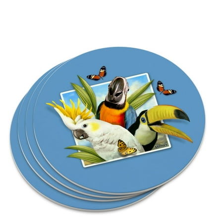 Tropical Birds Selfie Parrot Toucan Novelty Coaster Set