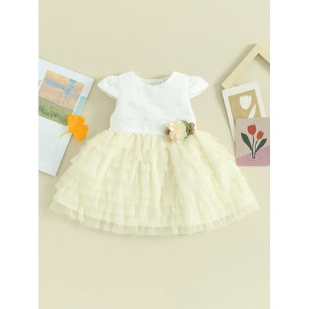 Sunisery 0-24Months Kids Baby Girls Short Sleeve Dresses Flowers Mesh Tulle Princess Party Dress Toddler Summer Cute Clothes
Sunisery 0-24Months Kids Baby Girls Short Sleeve Dresses Flowers Mesh Tulle Princess Party Dress Toddler Summer Cute Clothes