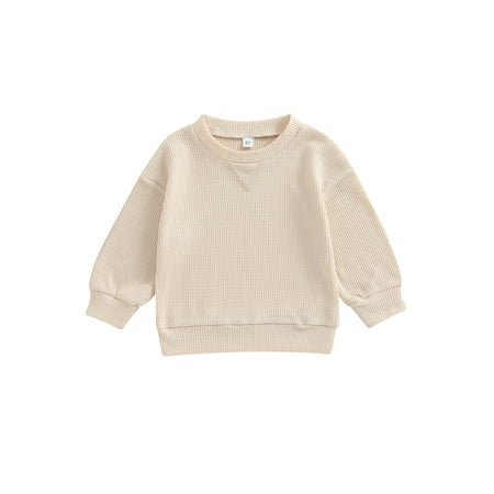 Toddler Kids Baby Boy Girl Crewneck Sweatshirt Cotton Long Sleeve Solid Color Pullover Top Casual Spring Fall Clothes
Toddler Kids Baby Boy Girl Crewneck Sweatshirt Cotton Long Sleeve Solid Color Pullover Top Casual Spring Fall Clothes