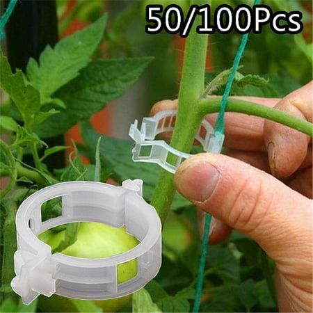 Elbourn Plant Support Garden Clips Tomato Vine Clips Tomato Trellis Clips 100Pcs for Vine Vegetables Tomato to Grow Upright
Elbourn Plant Support Garden Clips Tomato Vine Clips Tomato Trellis Clips 100Pcs for Vine Vegetables Tomato to Grow Upright