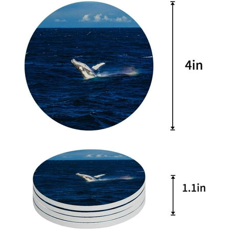ZHANZZK Whale Set of 4 Round Coaster for Drinks Absorbent Ceramic Stone Coasters Cup Mat with Cork Base for Home Kitchen Room Coffee Table Bar Decor
ZHANZZK Whale Set of 4 Round Coaster for Drinks Absorbent Ceramic Stone Coasters Cup Mat with Cork Base for Home Kitchen Room Coffee Table Bar Decor