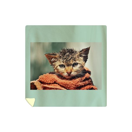 Wet Cat Wrapped in Towel - Lantern Press Photography (88x88 Queen Microfiber Duvet Cover)