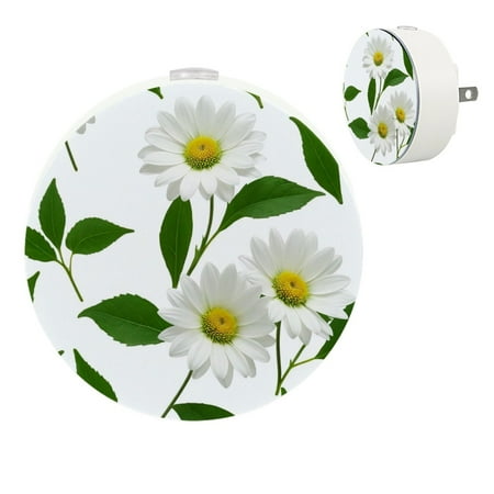YZUOUZY Night Lights Plug into Wall Nightlight Bedroom Lamps Set of 2 Hellebore Winter Rose Christmas Rose
YZUOUZY Night Lights Plug into Wall Nightlight Bedroom Lamps Set of 2 Hellebore Winter Rose Christmas Rose