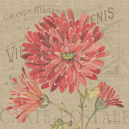 Mums Burlap Poster Print by Stephanie Marrott