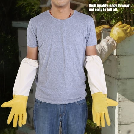 Beekeeping Glove Beekeeper Glove Elastic Beekeeping Glove Beekeeping Protective Glove Beekeeper Protective Glove Pair Of Protective Long Sleeves Elastic Beekeeping Gloves
Beekeeping Glove Beekeeper Glove Elastic Beekeeping Glove Beekeeping Protective Glove Beekeeper Protective Glove Pair Of Protective Long Sleeves Elastic Beekeeping Gloves