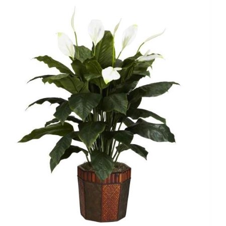 Spathyfillum W/Vase Silk Plant