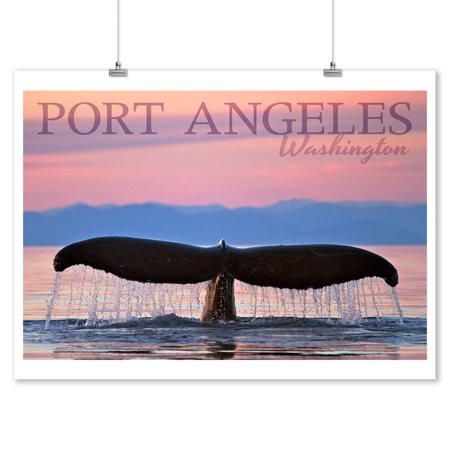 Port Angeles, Washington - Humpback Whale & Sunset - Photography (9x12 Art Print, Wall Decor Travel Poster)
