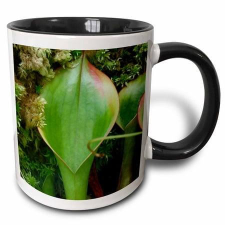 3dRose Carnivorous Plants - Two Tone Black Mug 11-ounce