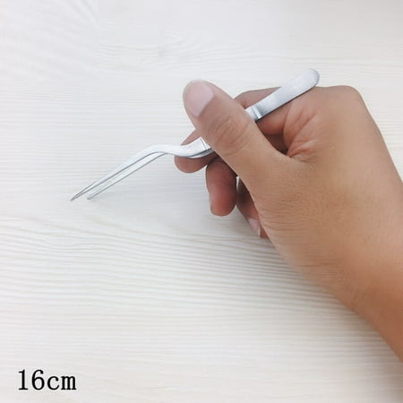 Seafood Tools Kitchen Tweezers Various Types Professional Chef Plated Stainless Steel Chef Kitchen Tools 2019
Seafood Tools Kitchen Tweezers Various Types Professional Chef Plated Stainless Steel Chef Kitchen Tools 2019