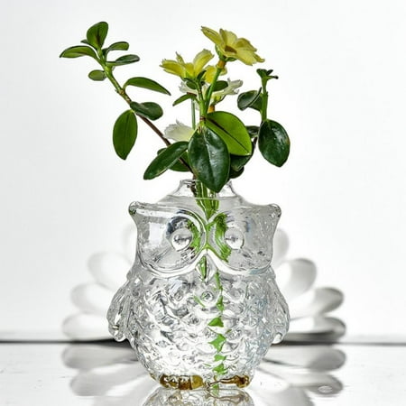 Manfiter Owl Glass Vase Flower Hydroponic Pot for Home Office Desk Indoor Decoration 1 Pack
Manfiter Owl Glass Vase Flower Hydroponic Pot for Home Office Desk Indoor Decoration 1 Pack