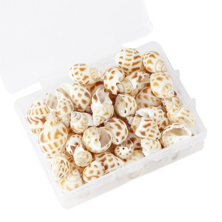 SIEYIO 100Pcs/Box Fish for Tank and Vase Filler Natural Seashells Party Wall Decor Craf
SIEYIO 100Pcs/Box Fish for Tank and Vase Filler Natural Seashells Party Wall Decor Craf