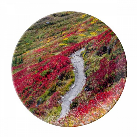 Colorful Forestry Science Nature Scenery Plate Decorative Porcelain Salver Tableware Dinner Dish
Colorful Forestry Science Nature Scenery Plate Decorative Porcelain Salver Tableware Dinner Dish