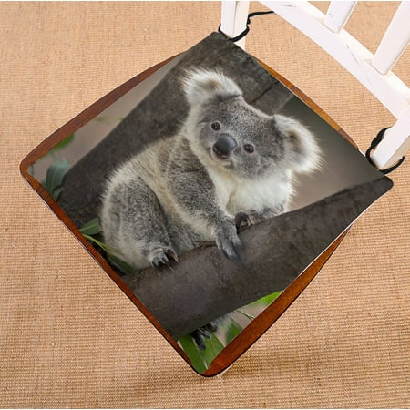 PHFZK Cute Koala Bear on the Tree Branch Seat Cushion Chair Cushion Floor Cushion Two Sides Size 20x20 inches
PHFZK Cute Koala Bear on the Tree Branch Seat Cushion Chair Cushion Floor Cushion Two Sides Size 20x20 inches