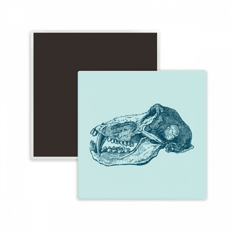 Flank Sketch Animal l Animal Square Ceracs Fridge Magnet Keepsake Memento