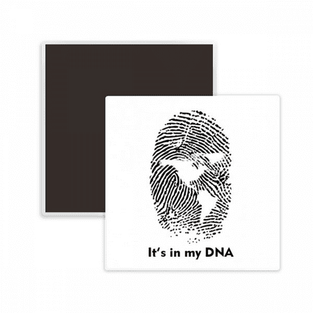 Contour Fingerprints American Maps Square Ceracs Fridge Magnet Keepsake Memento