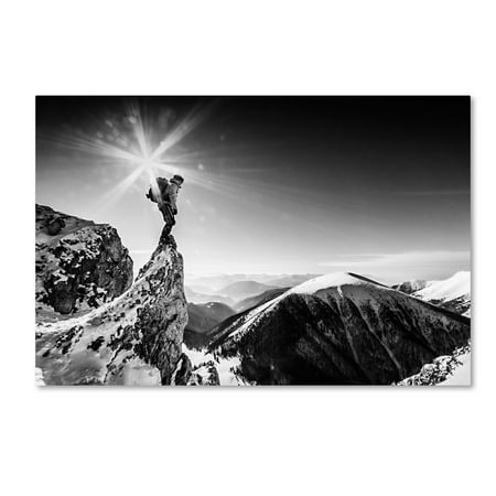 Trademark Fine Art 'Life At The Top' Canvas Art by Marian Krivosik